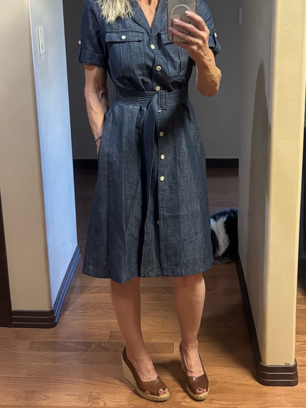 Worth Dark Indigo Denim Shirt Dress